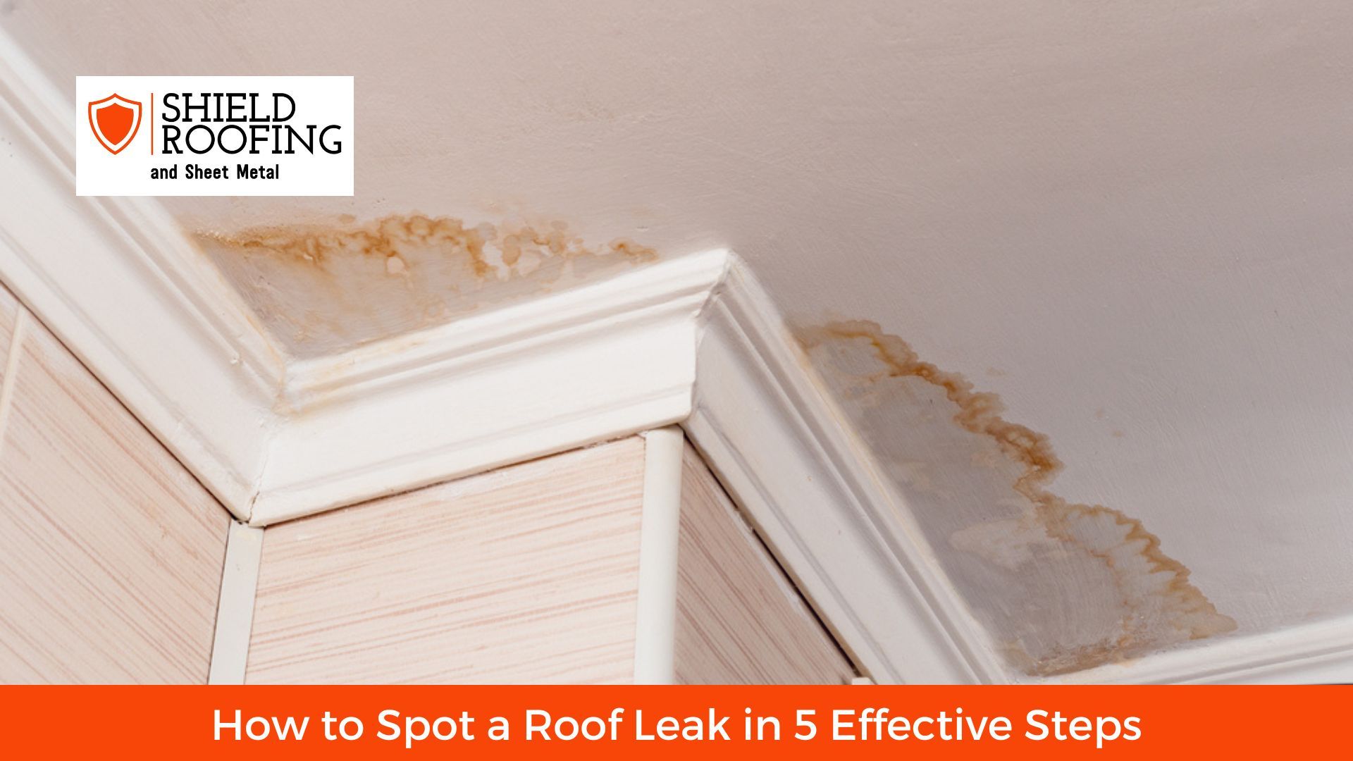 How To Spot A Roof Leak In 5 Effective Steps